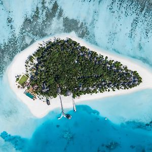 Angsana Velavaru - Book Now & Enjoy 10 - 20 Percent Off Seaplane Flights For Stays In 2025